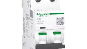 IC60A 2P C  32A 4500A