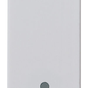 interruttore-1p-10ax-silver-2