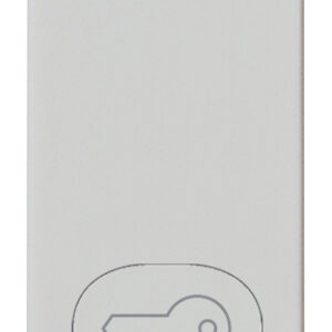 tasto-1m-simbolo-chiave-silver-2