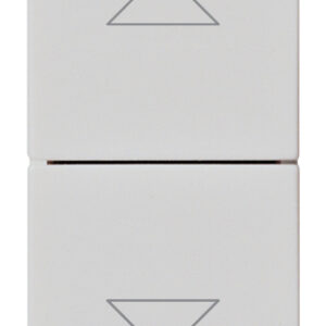 commutatore-2p-10ax-a-due-tasti-silver-2