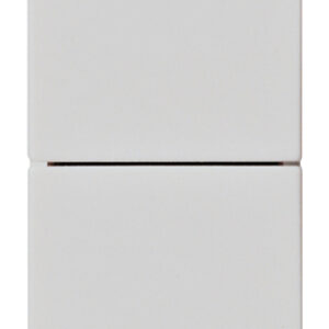 due-pulsanti-indipend-1p-nono10a-silver-2