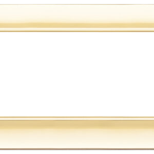 placca-7m-oro-lucido-2