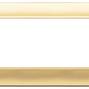 placca-7m-oro-opaco-2