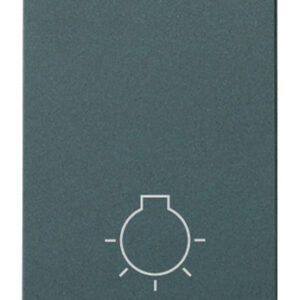 pulsante-1p-no-10a-luce-grigio-2