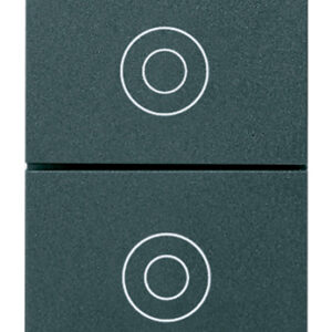 due-pulsanti-1p-no-10a-grigio-2