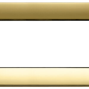 placca-classica-4m-oro-lucido-2