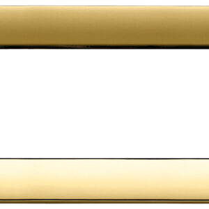 placca-classica-6m-oro-lucido-2