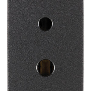 PRESA POLARIZZATA 2P 6A 24V SELV GRIGIO