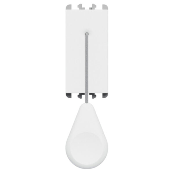 pulsante-tirante-1p-10a-1m-b