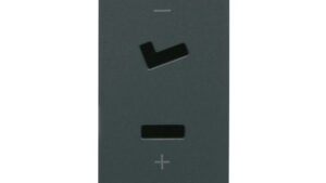 PRESA POLARIZZ.2P 6A 24V SELV