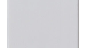 INTERRUTTORE 1P 10AX SILVER