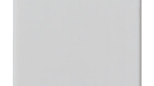 DEVIATORE 1P 10AX SILVER