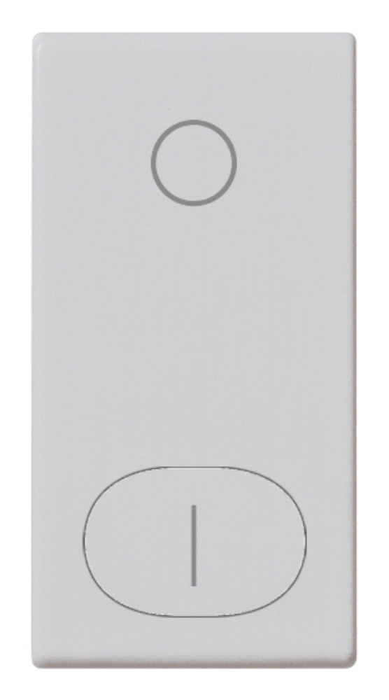 tasto-1m-simbolo-o-i-silver