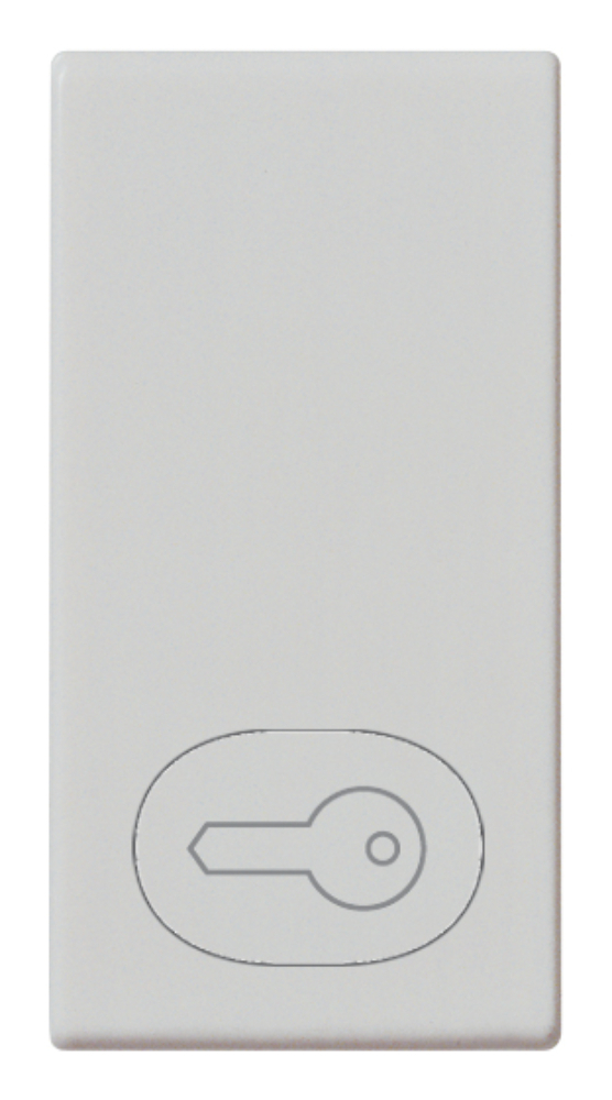 tasto-1m-simbolo-chiave-silver