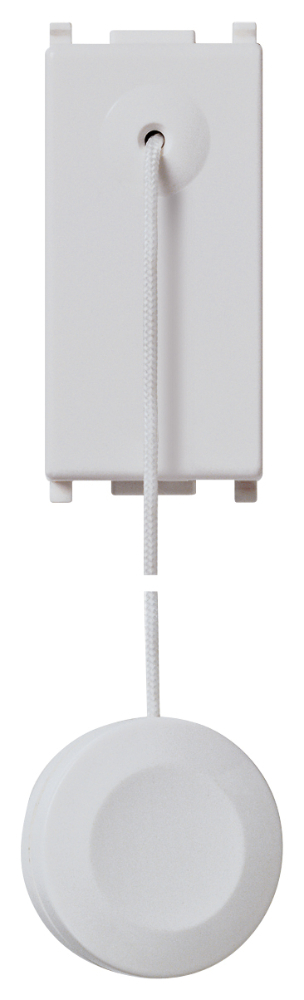 pulsante-1p-no-10a-tirante-silver