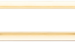 PLACCA 7M ORO LUCIDO