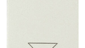 COMMUTATORE 1P 10AX GRIGIO