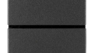 Commutatore 2 Poli 10A Max Grigio ARKE'